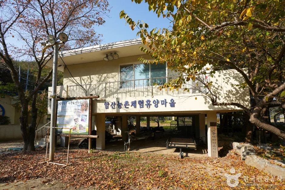 암산유원지 (9)