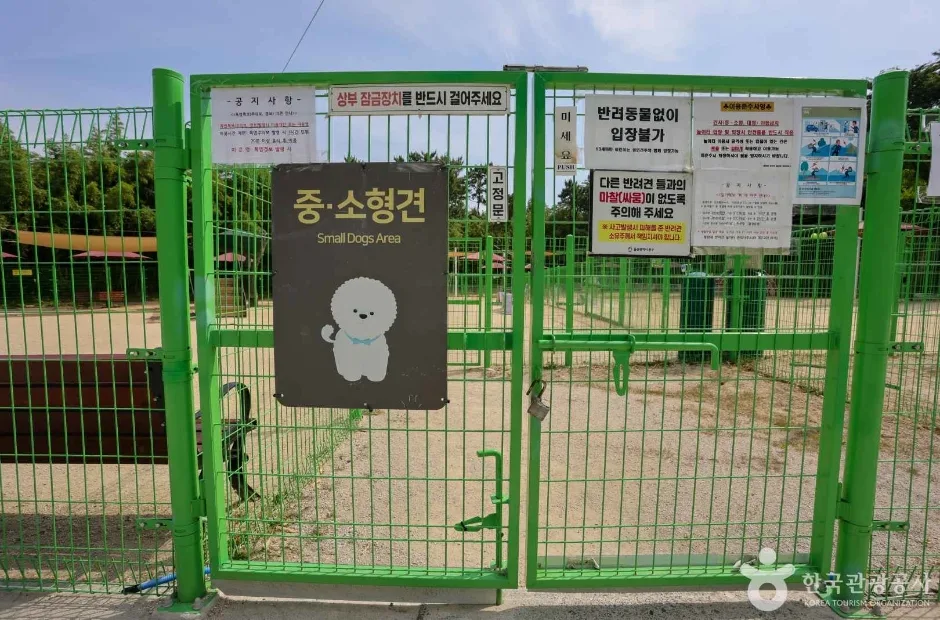 봉화재 반려견 놀이터 (7)