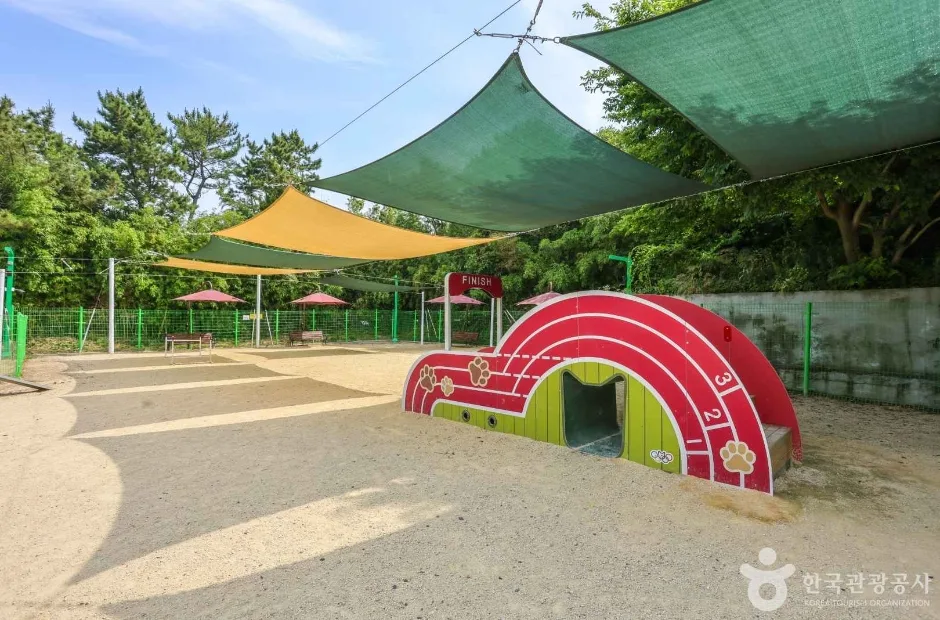 봉화재 반려견 놀이터 (2)