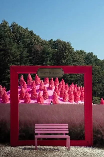 포천_허브아일랜드 (5)