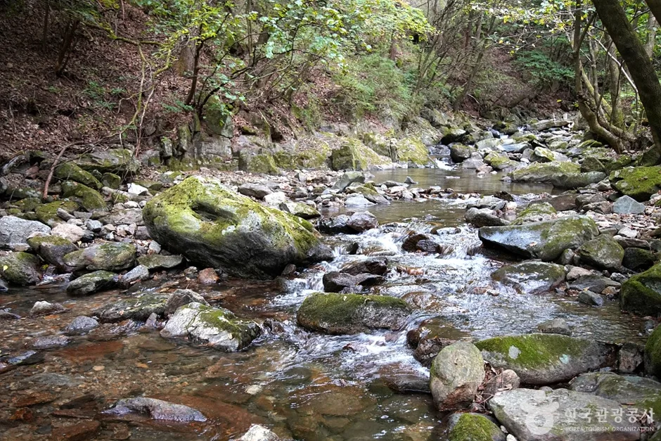 용수골계곡 (16)