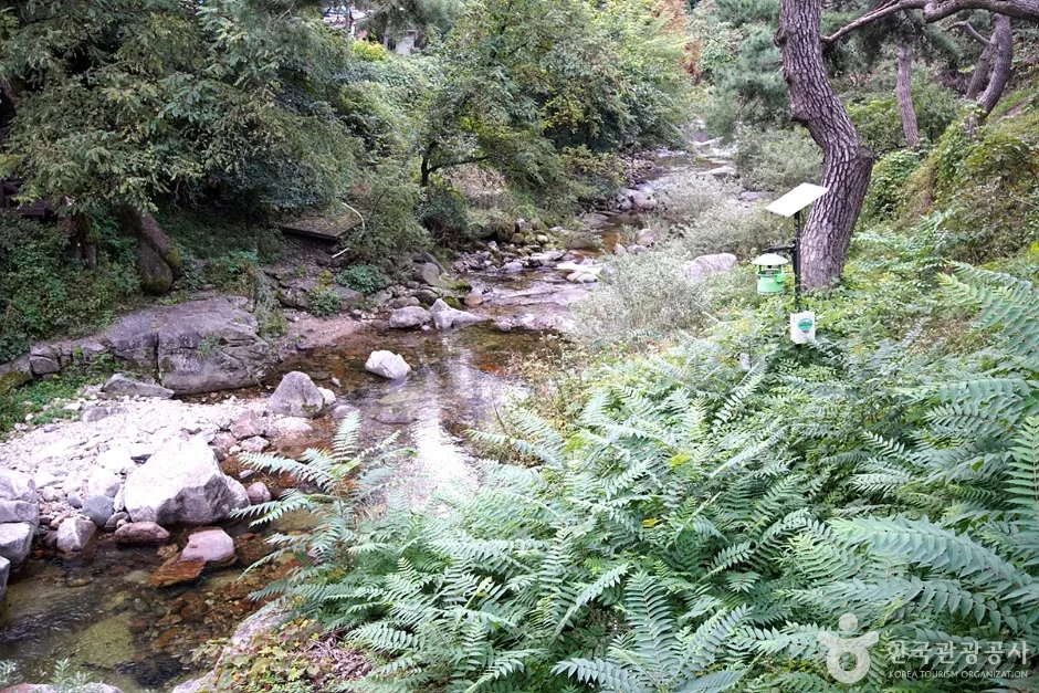 용수골계곡 (3)