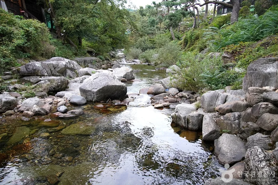 용수골계곡 (12)