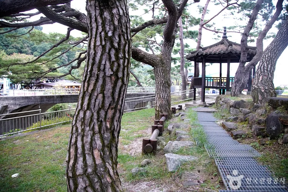 용수골계곡 (5)
