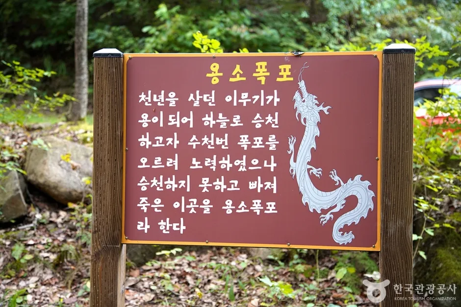용수골계곡 (19)