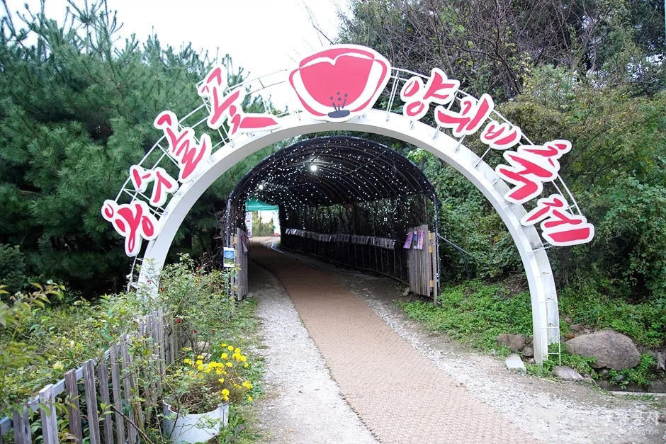 용수골계곡 (2)