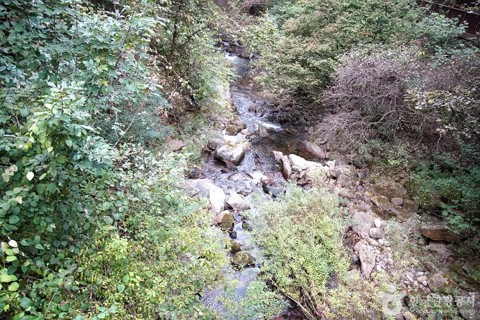 용수골계곡 (15)