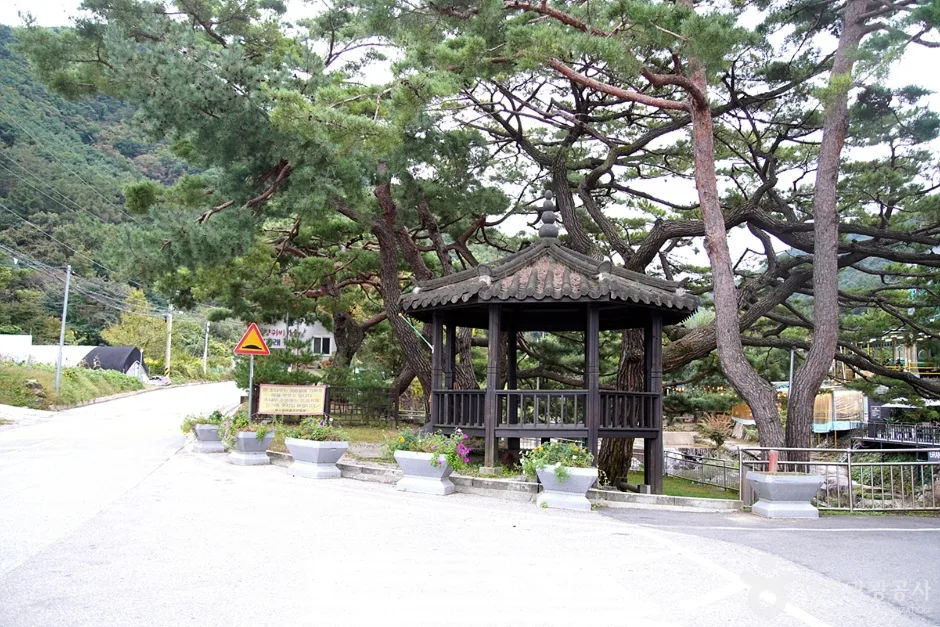 용수골계곡 (13)