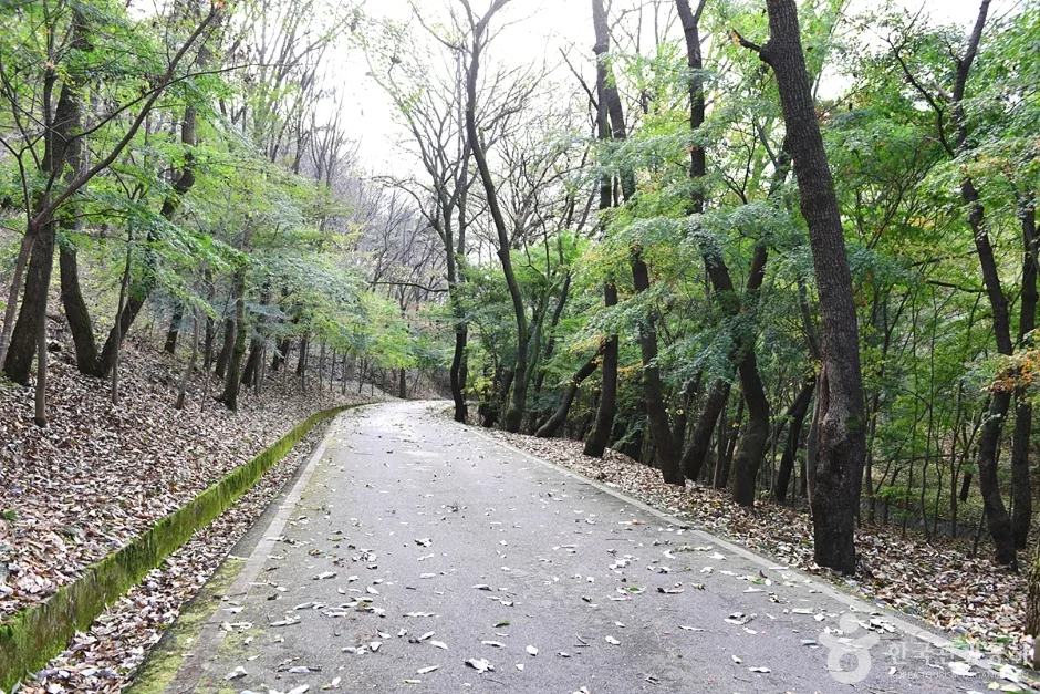 전북_익산_숭림사 (8)