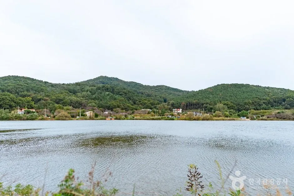 아산_냉정지 (3)