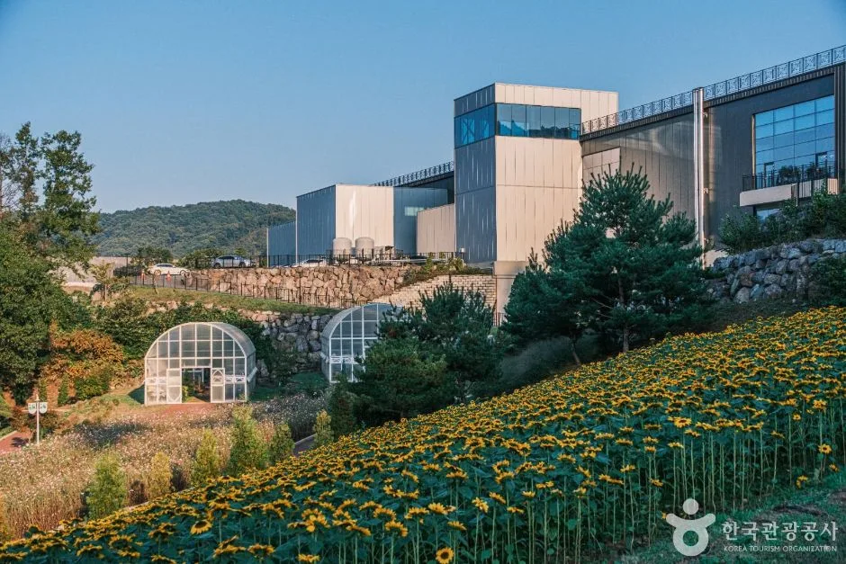 증평 에듀팜 (7)