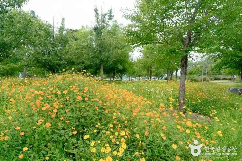 경남_의령_의령역사문화테마파크_외부_1.jpg
