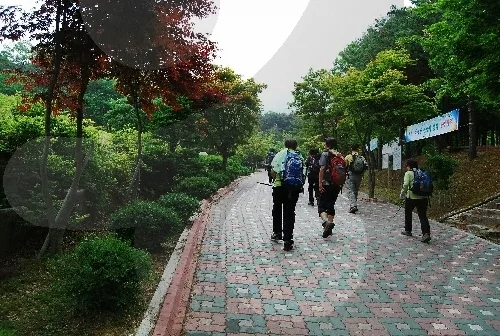 너무 아름다운 뷰! 뷰! 뷰! 멋진 전망만 쏙 골라 놓은 코스