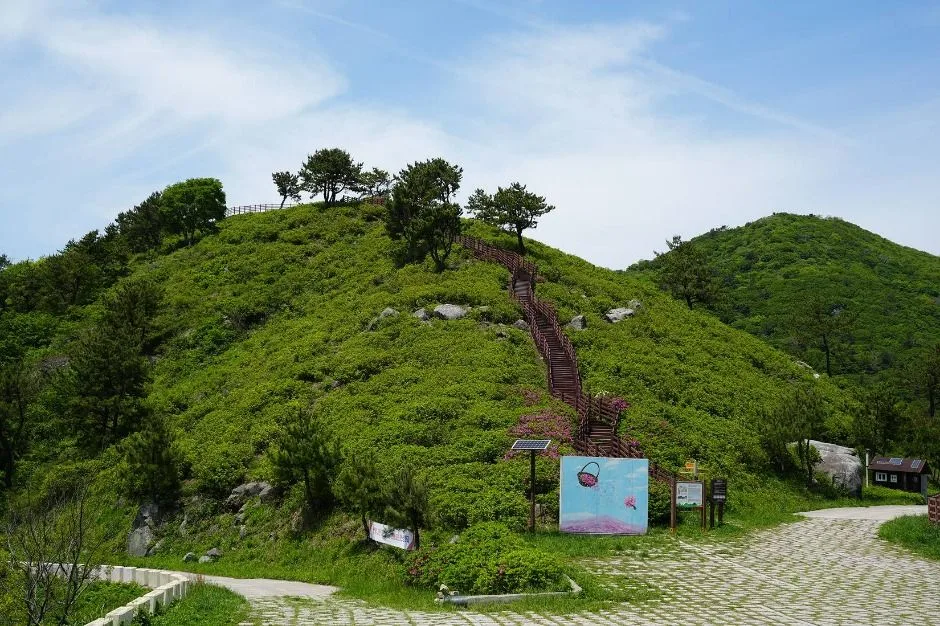 고흥_천등산(고흥) (4)