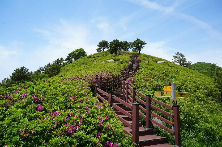 고흥_천등산(고흥) (3)