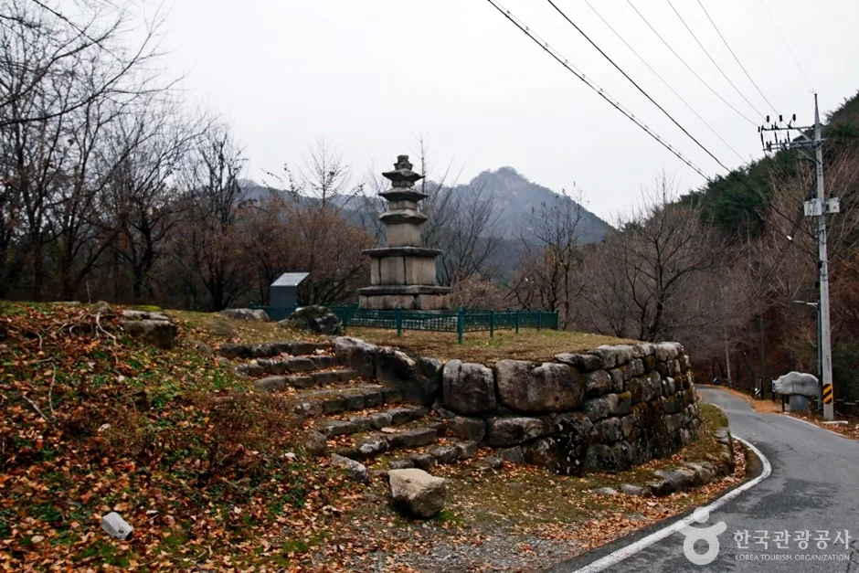 충주 미륵대원지 삼층석탑 (9)