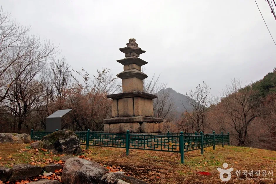 충주 미륵대원지 삼층석탑 (11)