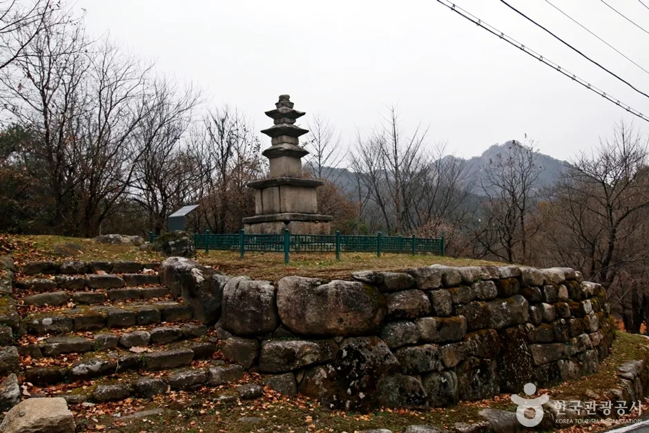 충주 미륵대원지 삼층석탑 (10)