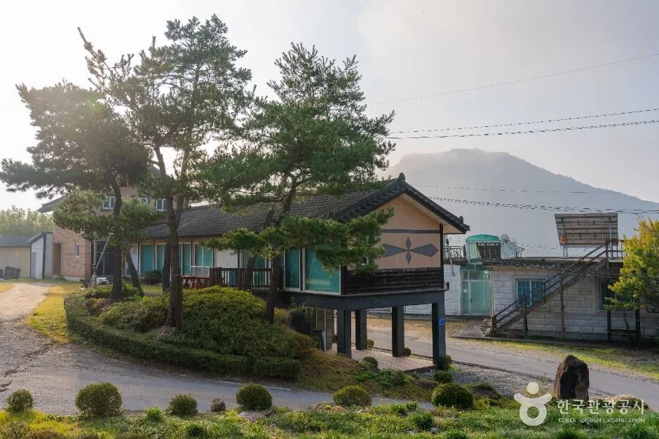제천_제천 산야초마을 (5)