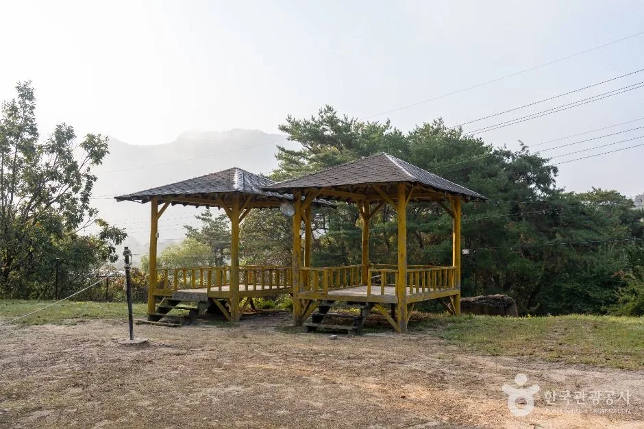 제천_제천 산야초마을 (4)