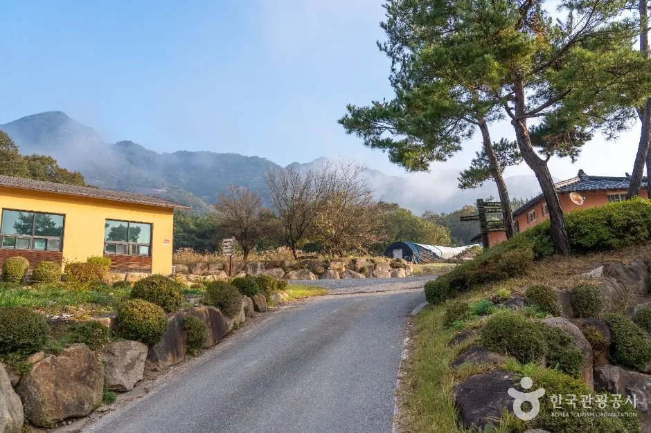 제천_제천 산야초마을 (2)