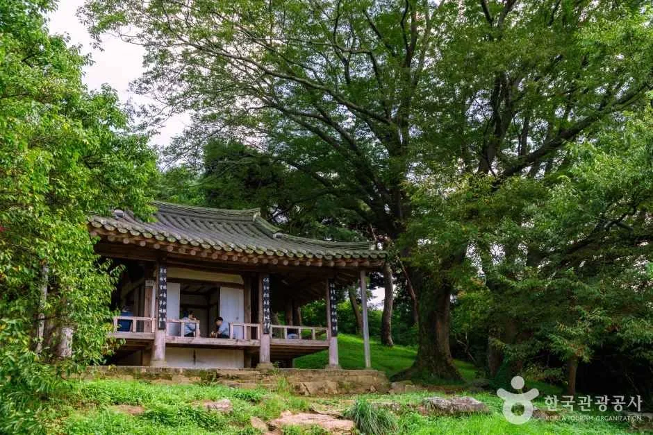 담양 명옥헌 원림 (5)