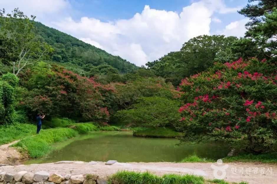 담양 명옥헌 원림 (2)