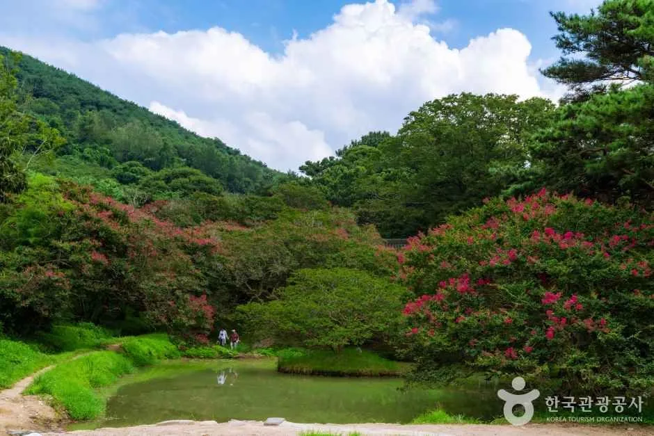 담양 명옥헌 원림 (4)