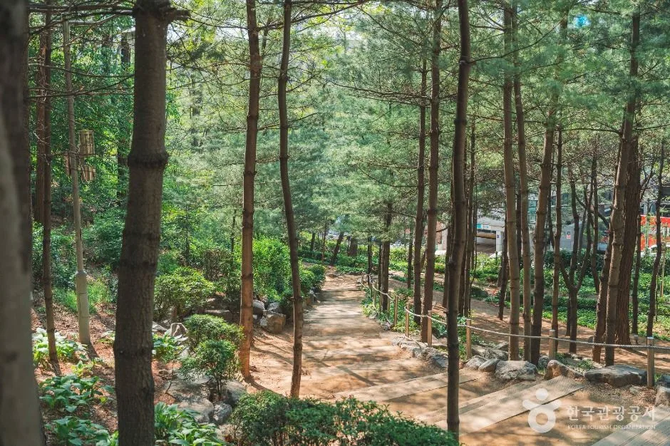 서울_학동공원 (3)