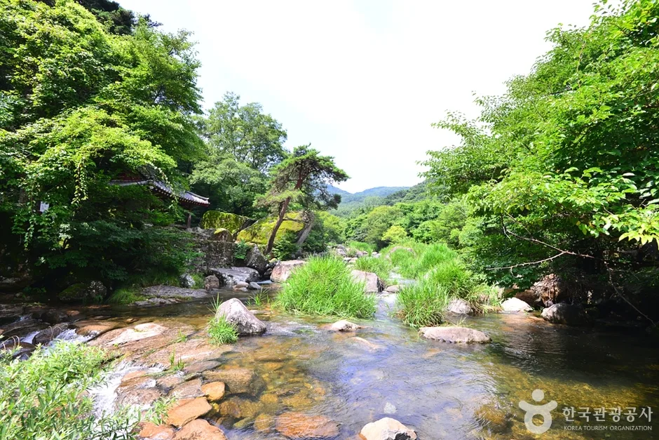 광주_북구_풍암정 (4)