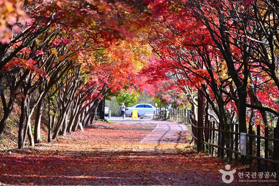 광주_북구_풍암정 (9)