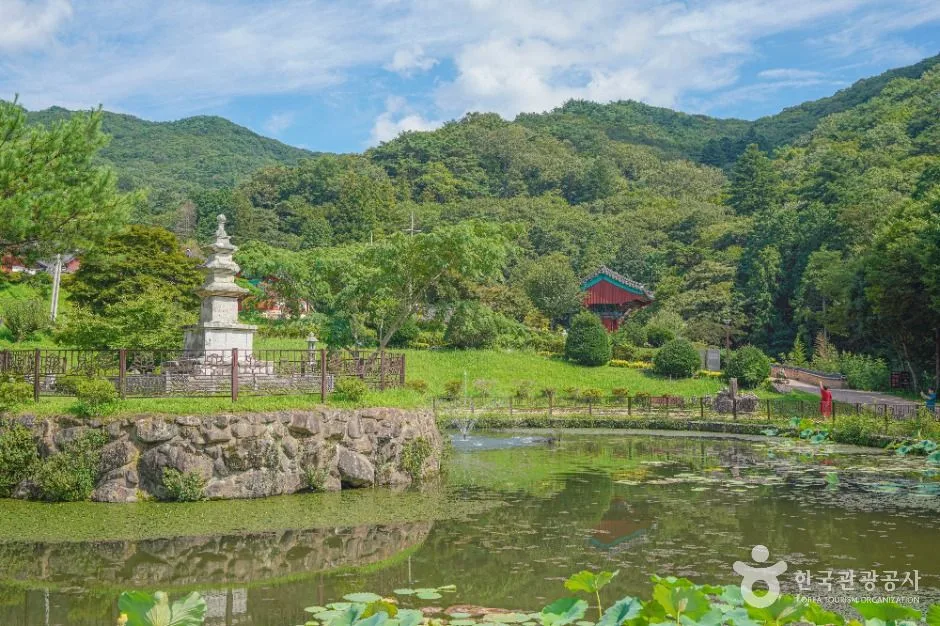 전남_태안사 (1)