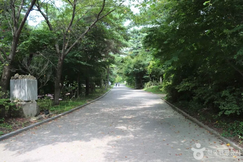 덕숭산 (4)_e