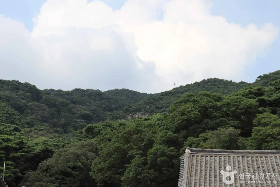 덕숭산 (3)_e