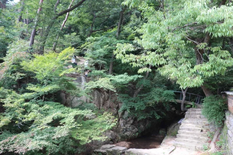 덕숭산 (5)_e