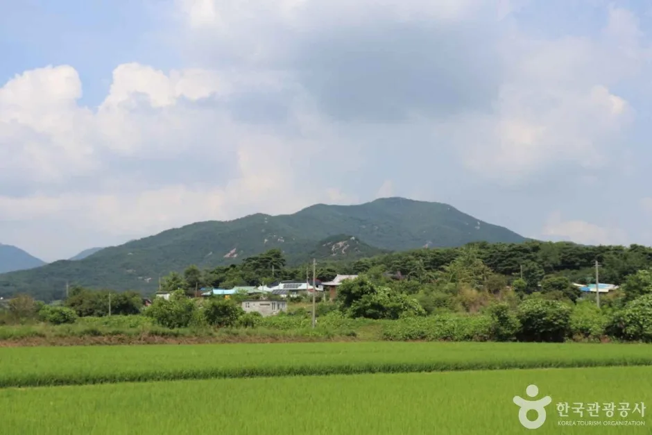 덕숭산 (8)_e