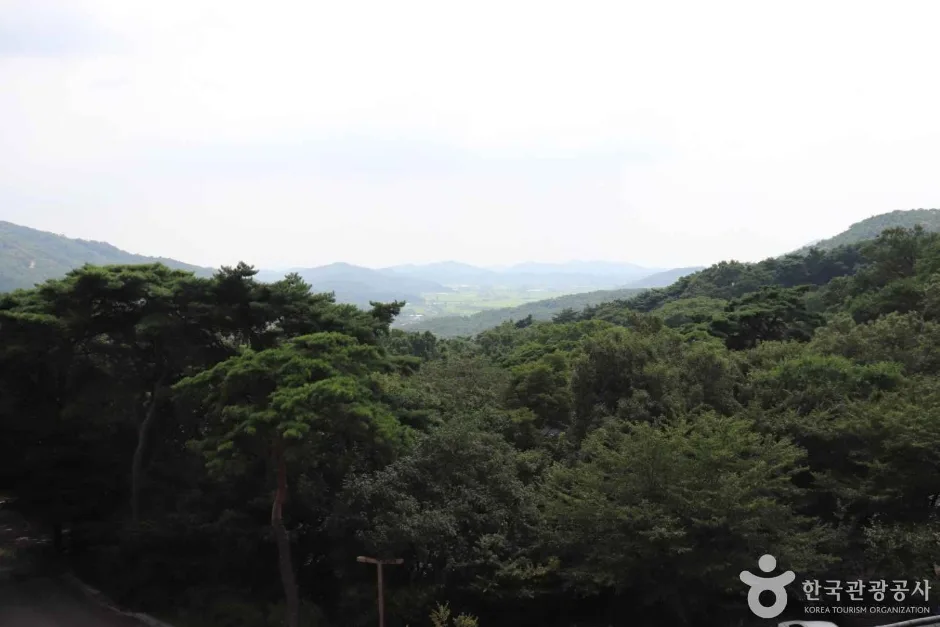 덕숭산 (9)_e