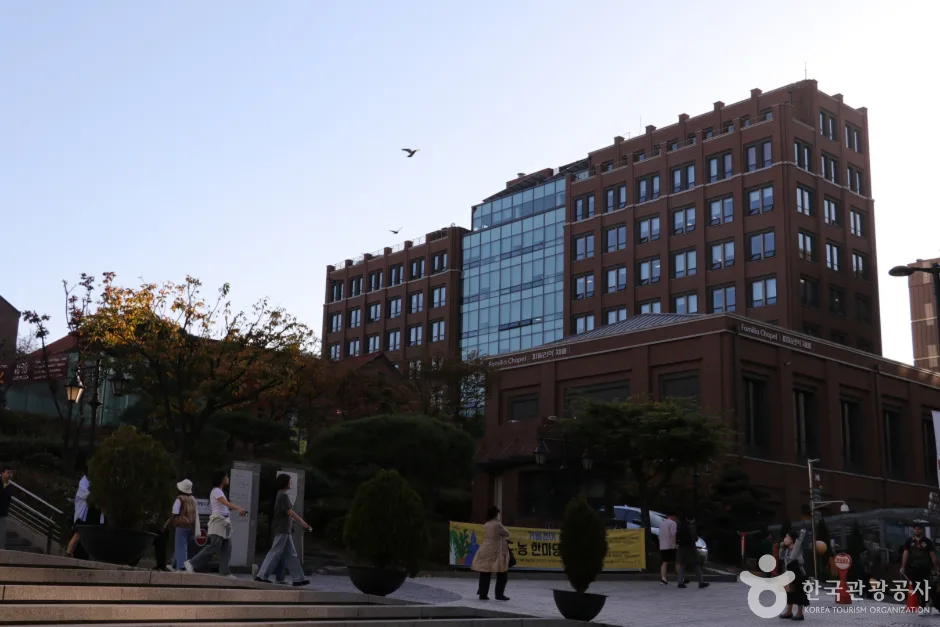 서울 명동성당 (6)