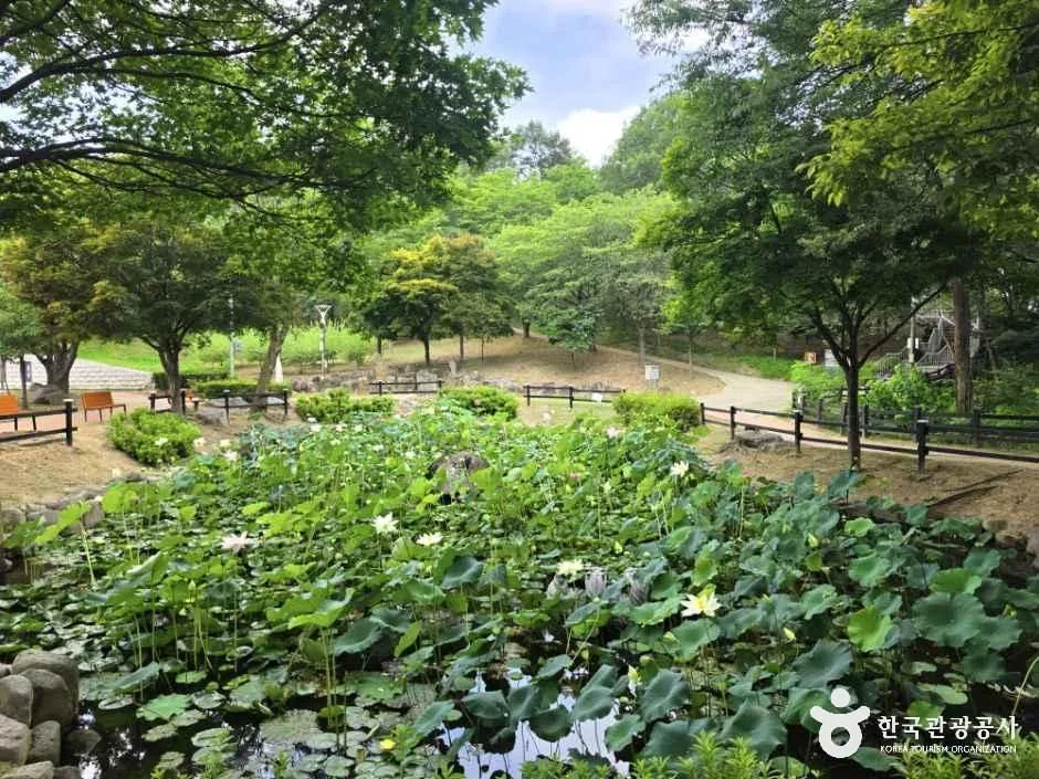 충북_영동_용두공원_외부_8.jpg