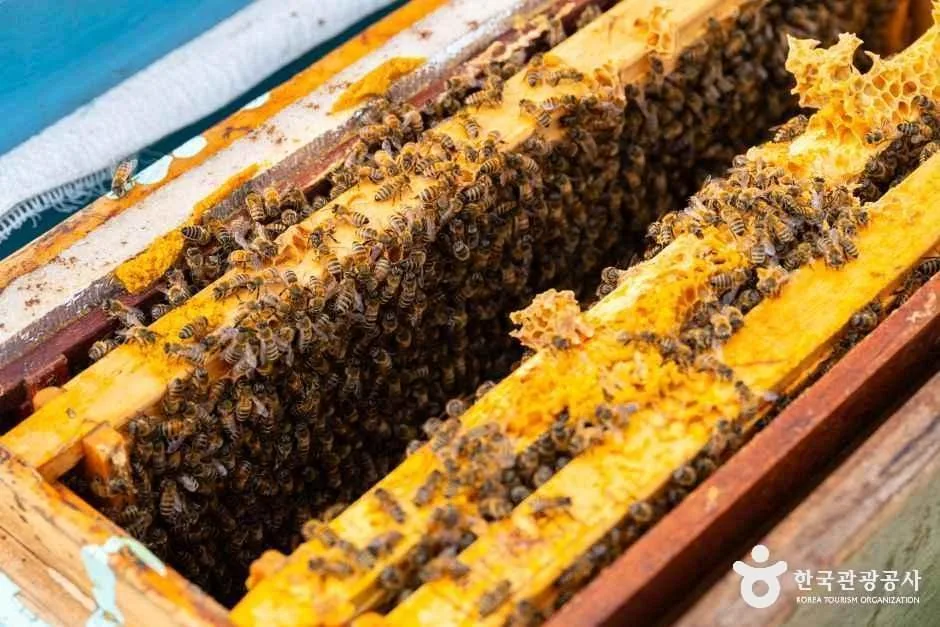 청주_해밀당 (4)
