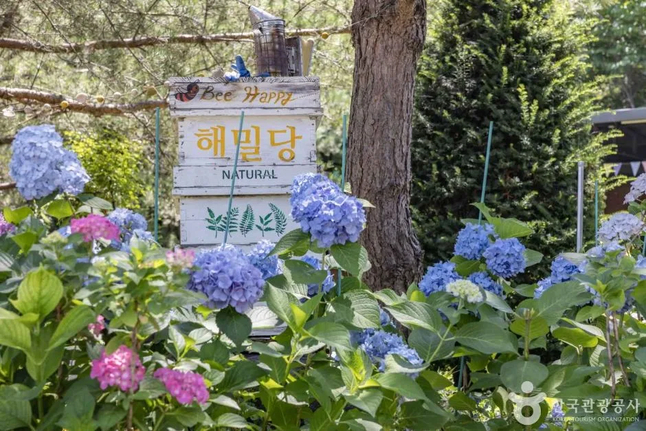 청주_해밀당 (6)