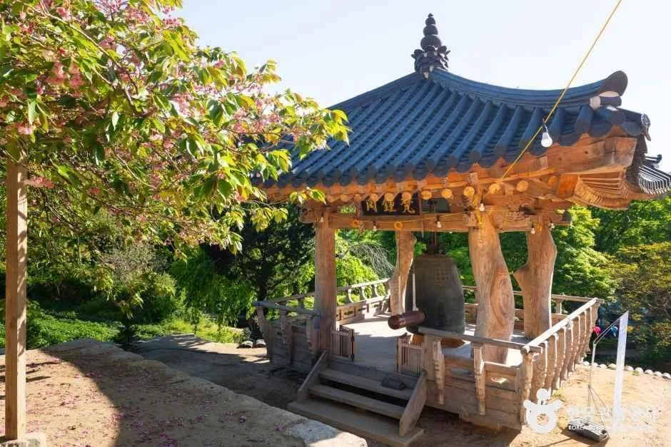 서산_개심사(서산) (4)