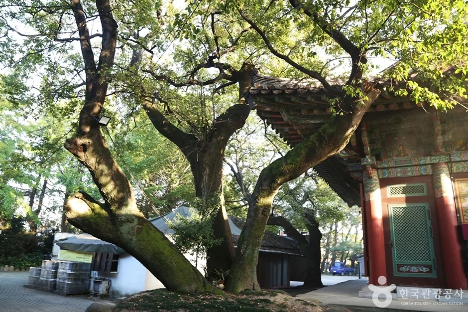 청량사 (12)