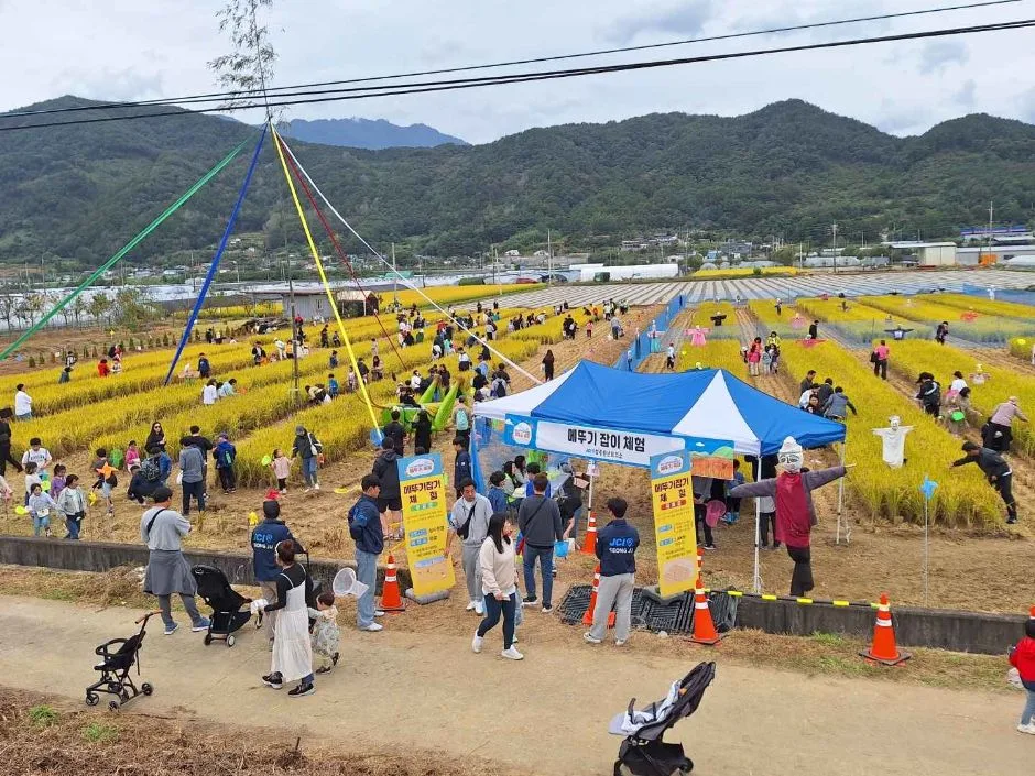 2026 성주가야산황금들녘메뚜기축제 (1).JPG