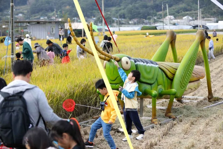 2026 성주가야산황금들녘메뚜기축제 (2).JPG