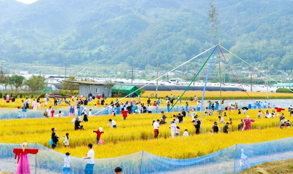 성주가야산황금들녘메뚜기축제