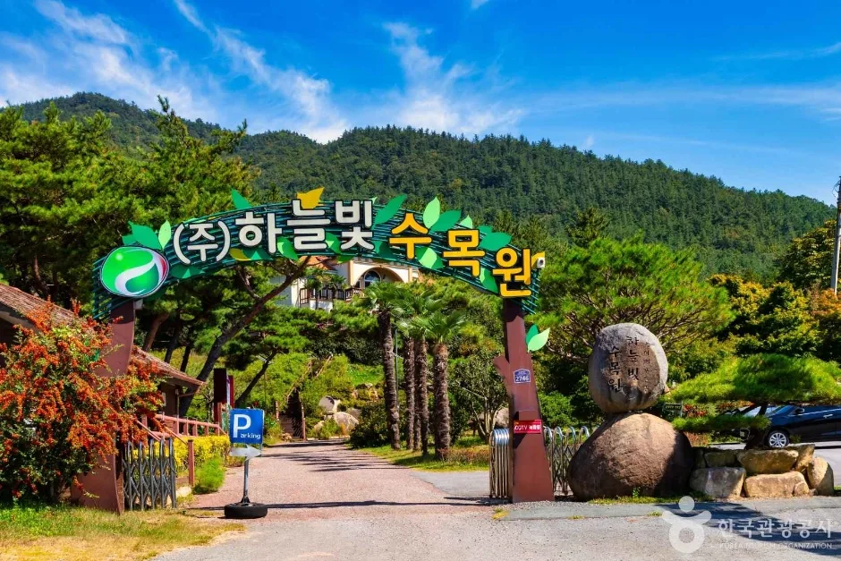 장흥 하늘빛수목원 튤립축제_01