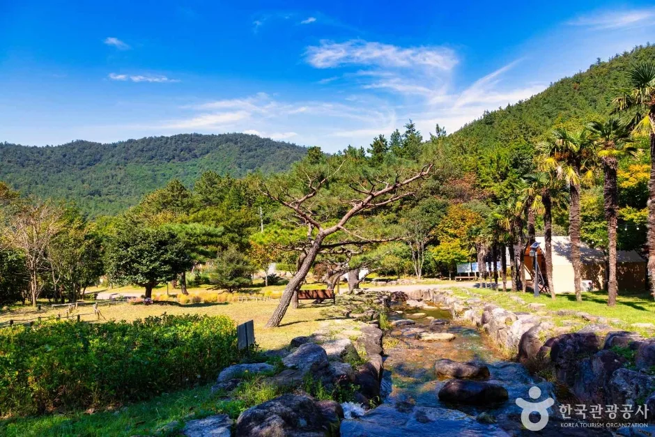 하늘빛수목원 (6)