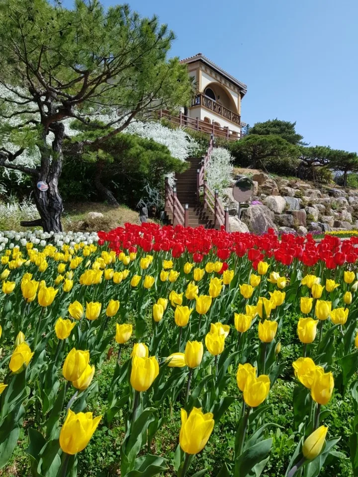 하늘빛수목원 (1)