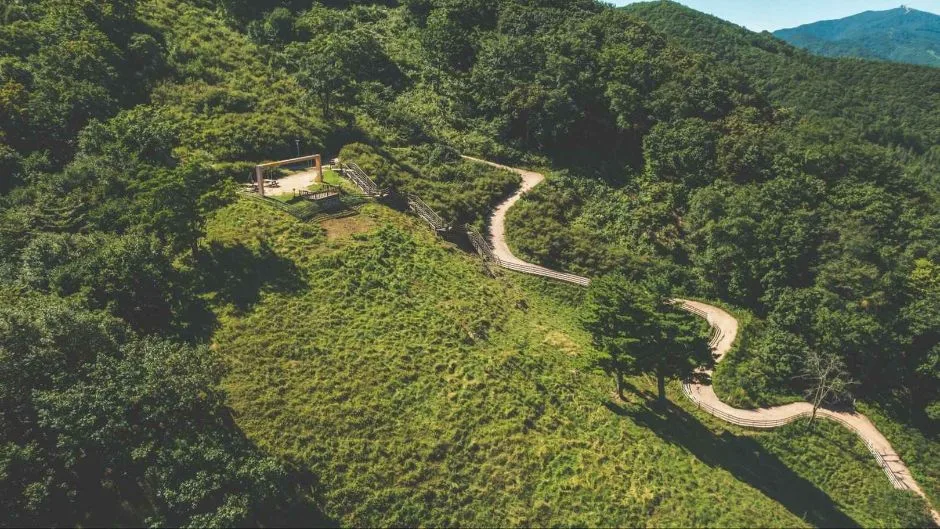 순수 양떼목장 (8)